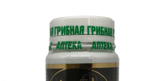 Гриб, который лечит пьянство