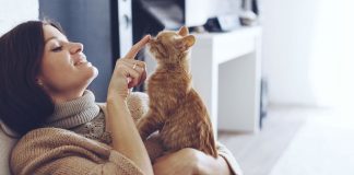 Натуральные наполнители для кошек