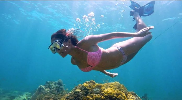 Дайвинг: открой новый мир!