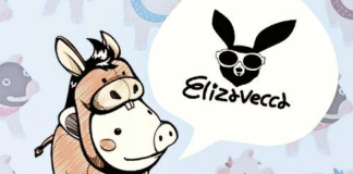 История бренда Elizavecca