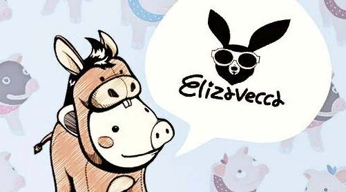 История бренда Elizavecca