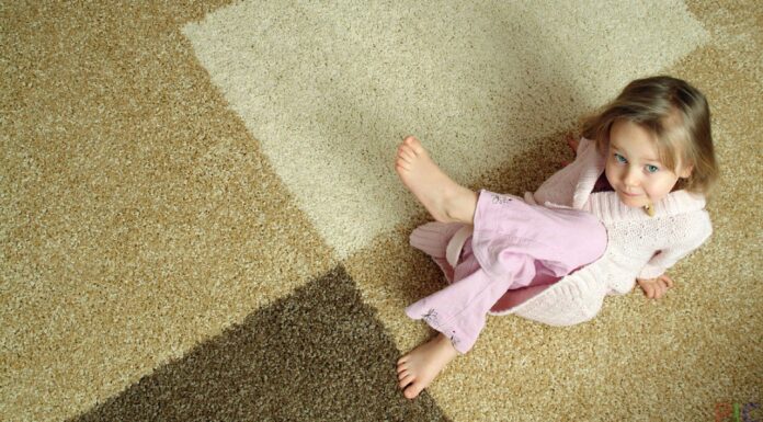 Главные особенности синтетических ковров — особенности, виды и отличие от остальных ковров, сфера применения. Как выбрать ковёр?