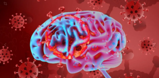 Каково влияние COVID-19 на мозг