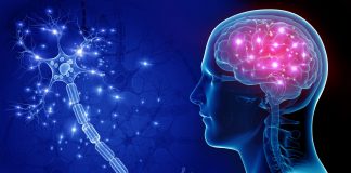 Нейрологические расстройства: выздоравливаем как можно скорее