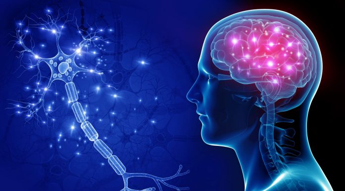 Нейрологические расстройства: выздоравливаем как можно скорее