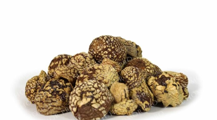 Мухоморы для наружного применения: польза веществ гриба