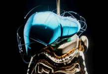 Витамины и БАДы: полный гид по применению, пользе и рискам